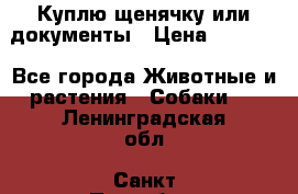 Куплю щенячку или документы › Цена ­ 3 000 - Все города Животные и растения » Собаки   . Ленинградская обл.,Санкт-Петербург г.